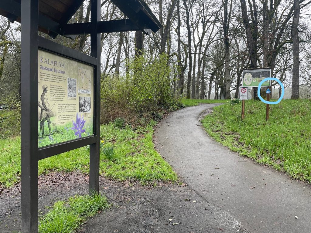 an image that shows the Kalapuya Sustained by Camas interpretive sign and in the distance the smaller interpretive sign that the blue raindrop with storymap QR code is posted on.