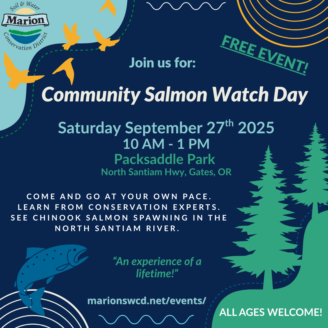 Community Salmon Watch 2025 (4)