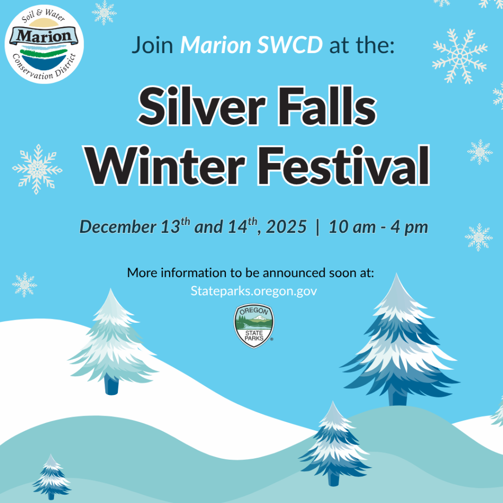 Join Marion SWCD at Silver Falls Winter Festival December 13 and 14th from 10am to 4 pm. Trees and snowflakes in background.