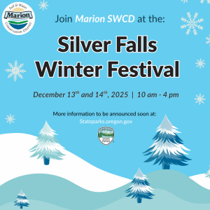 Join Marion SWCD at Silver Falls Winter Festival December 13 and 14th from 10am to 4 pm. Trees and snowflakes in background.
