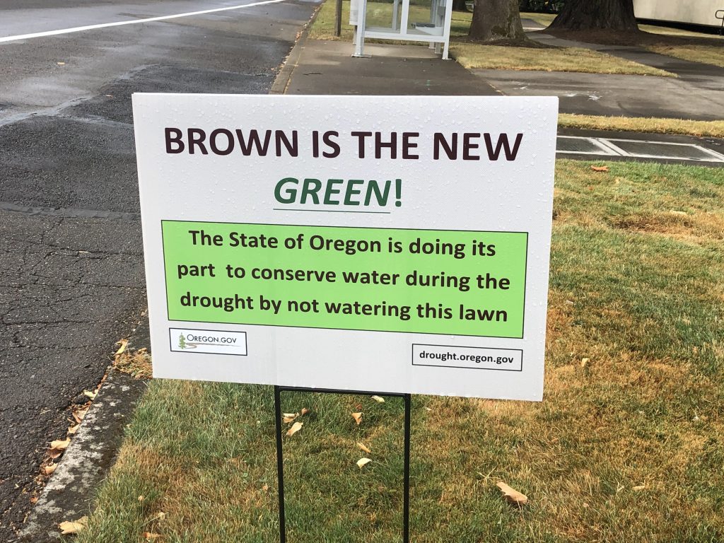 sign that says brown is the new green