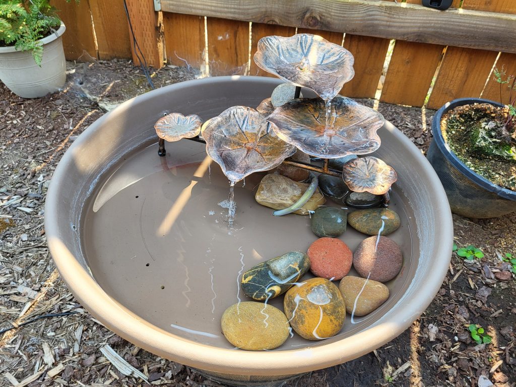 a water dish with pebbles for bees