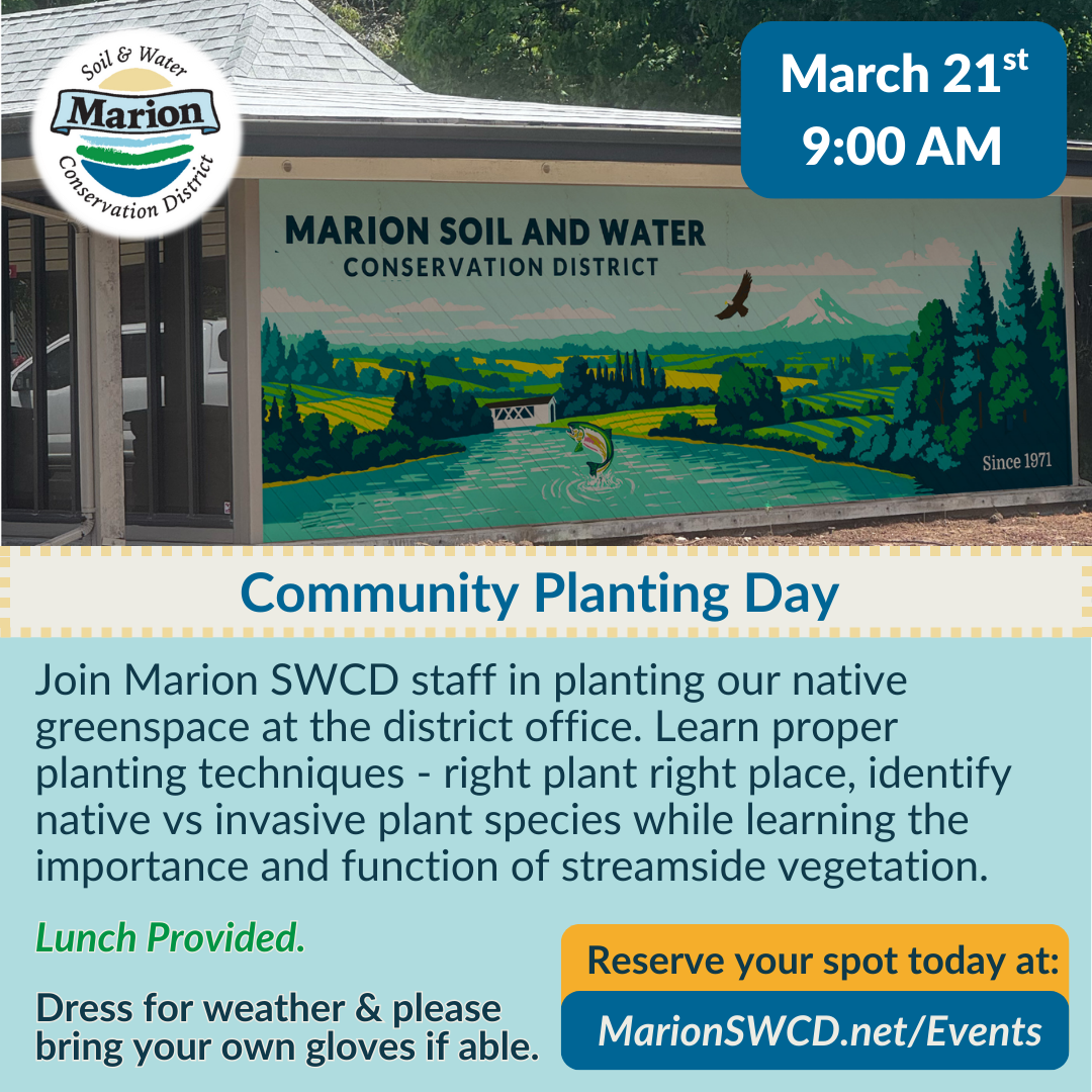 Graphic with mural painted on side of building; mural is of a river with two salmon jumping out of water, surrounded by trees and ag lands.