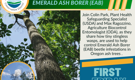 First Friday presentation advertisement with ash tree canopy loss photo in background.