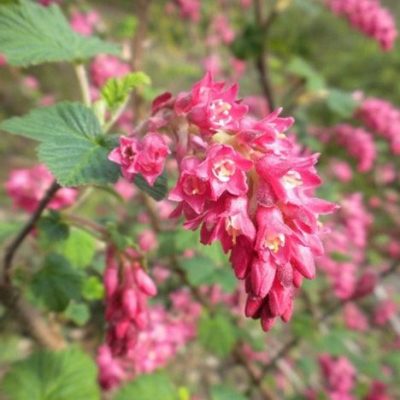 Image for choice number 1