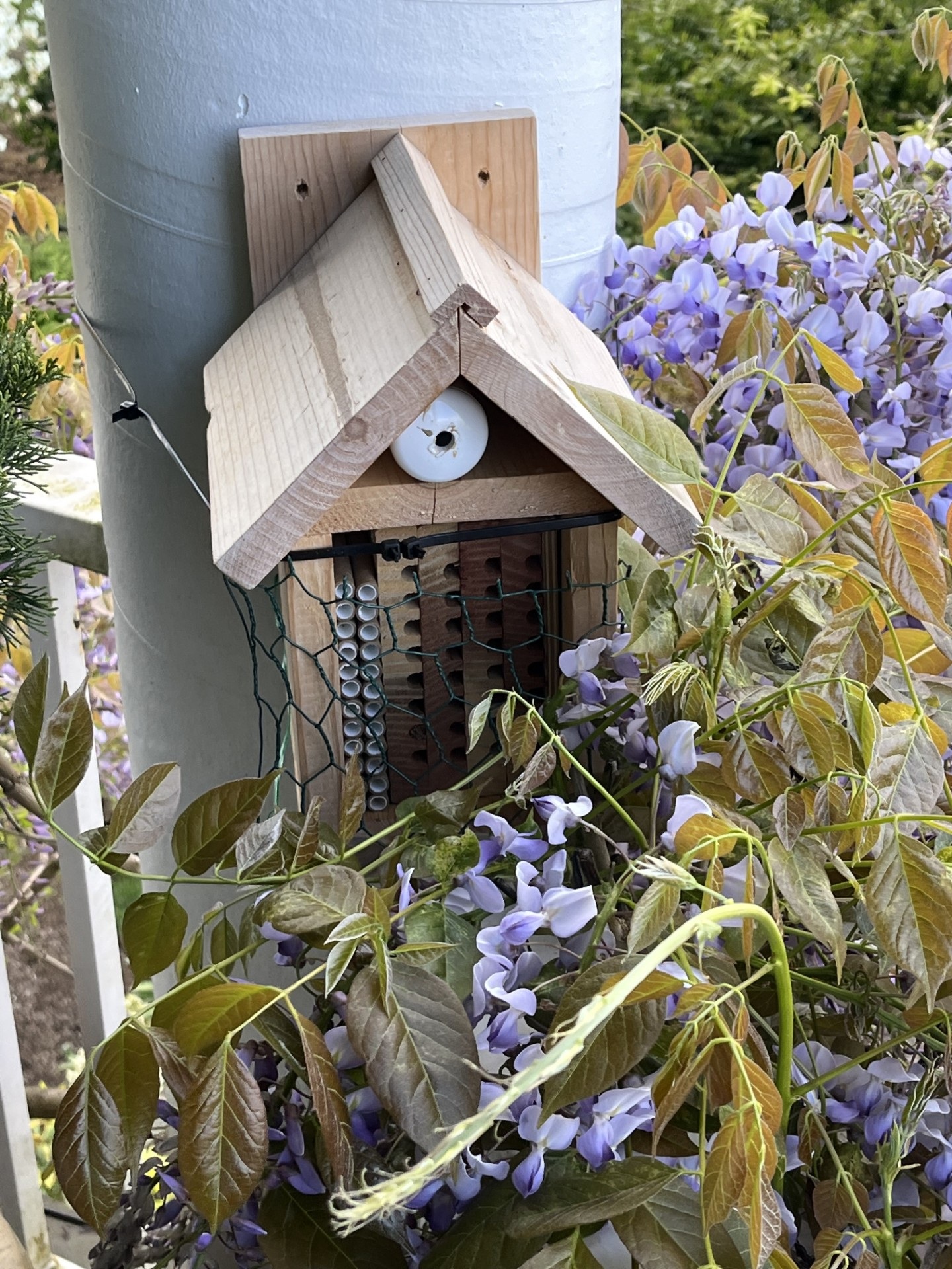 A wooden bee house is attached to a post and surrounded by purple flowers.