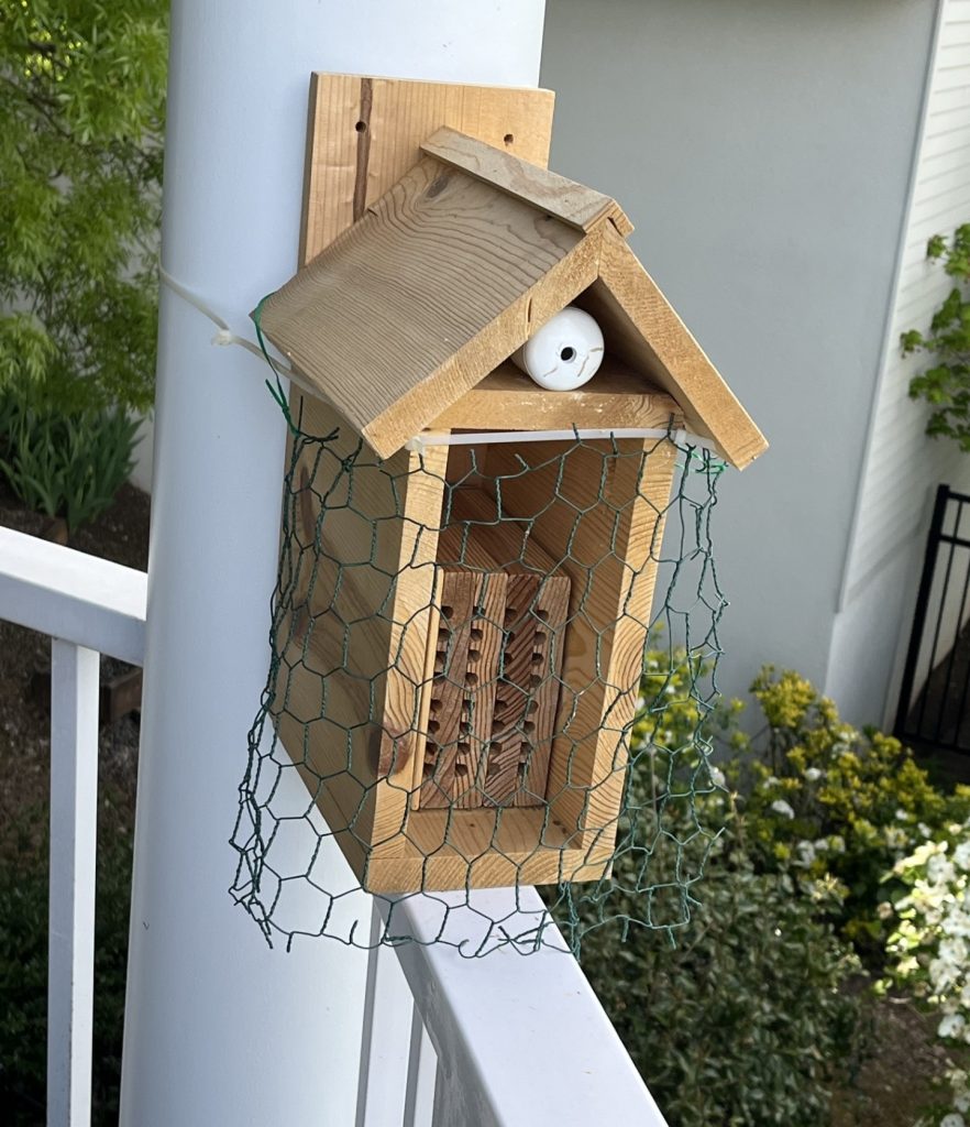 Small Mason Bee House attached to porch protected with chicken wire.