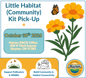 Orange flower with butterfly ad to pickup Little Habitat Community kits. 