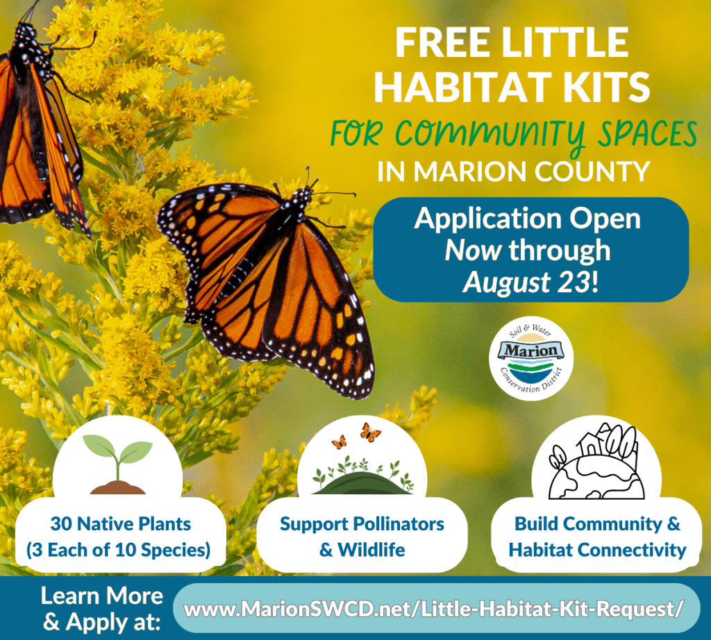 Two monarch butterflies with a link to register for a Little Habitat Community Kit.