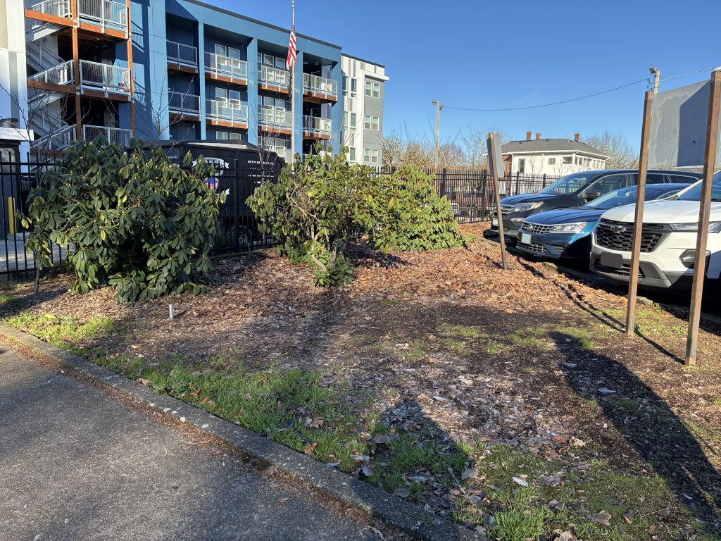 Bare ground in the foreground with a few bushes in the back and cars parked along the right side.