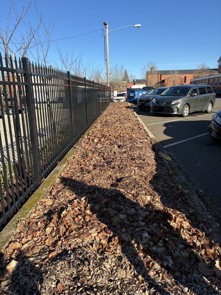 A strip of bare ground and cars parked along the right side.