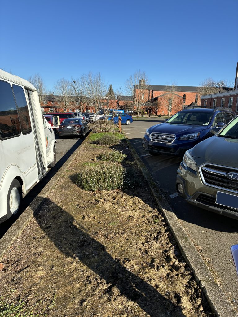 A strip of bare ground with a few small bushes and cars parked along either side of the strip.