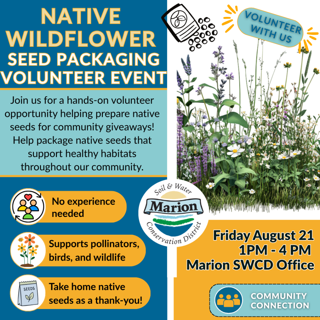 Event advertisement, Native Wildflower Seed Packaging Volunteer Event, with a picture of wildflowers.