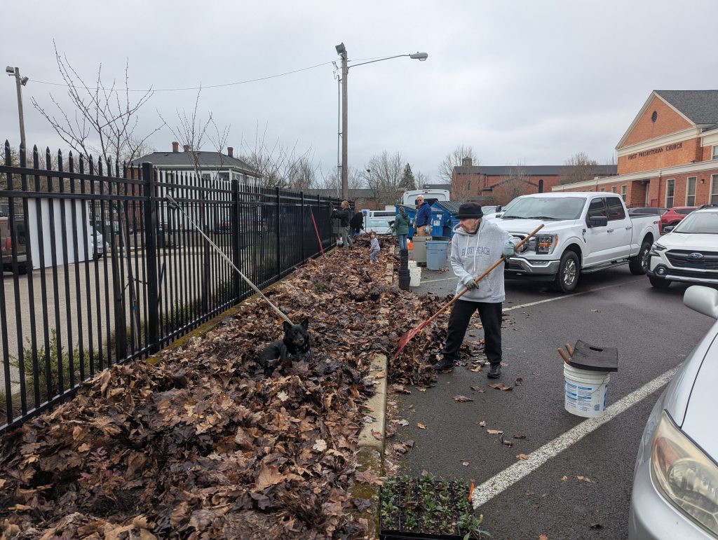 Person raking leaves