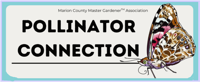 Graphic of a butterfly next to the event name, pollinator connection