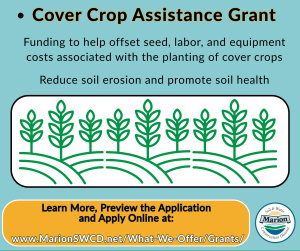 Cover Crop Grant Details with graphic of crops