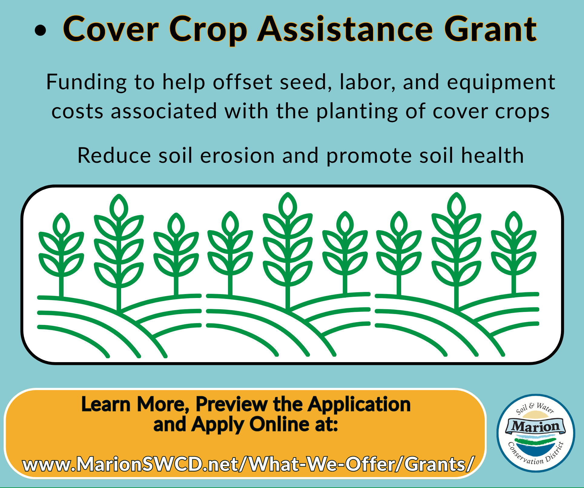Cover Crop Grant Details with graphic of crops