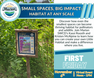 Little habitat certification sign in front of some evergreen shrubs.