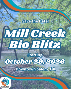 Image of mill creek waterway.