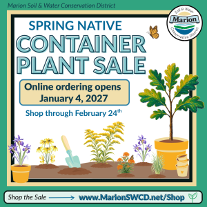 Plant sale advertisement with native plants being planted into the ground graphic. 