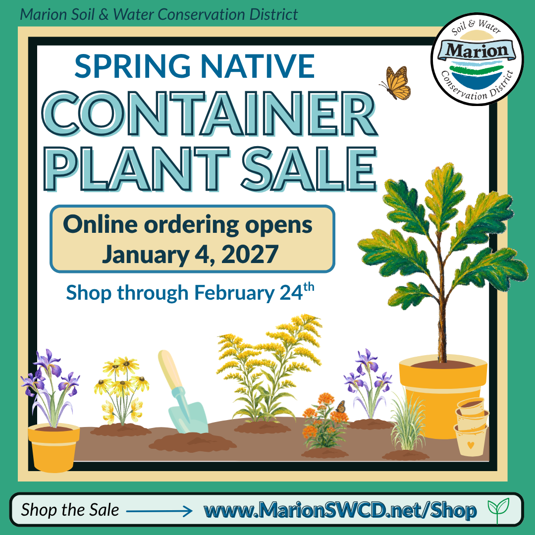 Plant sale advertisement with native plants being planted into the ground graphic.