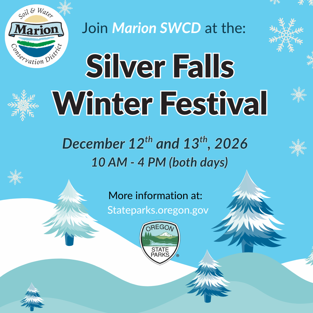 Join Marion SWCD at Silver Falls Winter Festival December 12th and 13th from 10am to 4 pm. Trees and snowflakes in background.